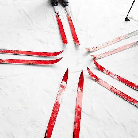 酒店 Country Club Ilkka 3*